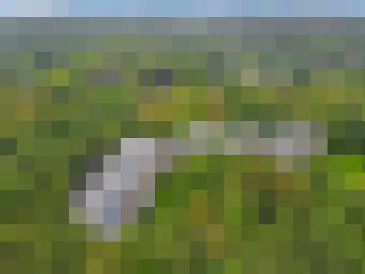 Stoeplaan 9 F51 Wassenaar thumbnail 43