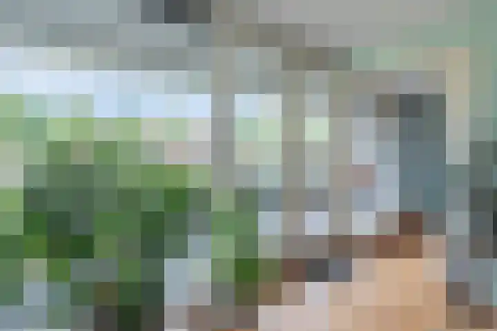 Stoepveldsingel 105 Assen thumbnail 16