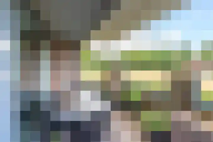 Stoepveldsingel 105 Assen thumbnail 26