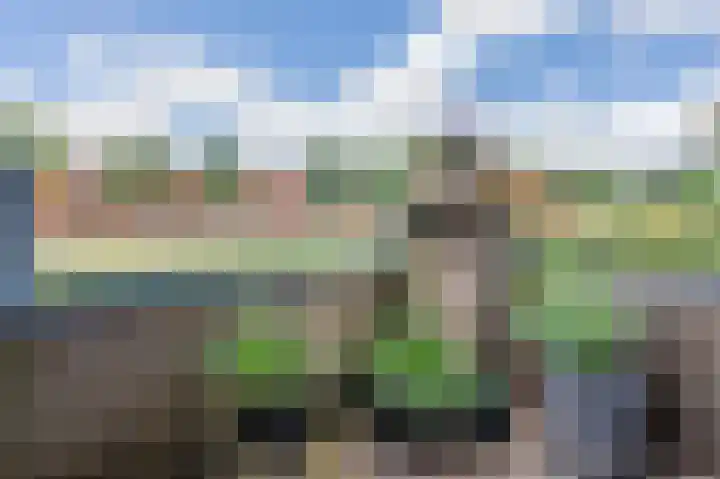 Stoepveldsingel 105 Assen thumbnail 30