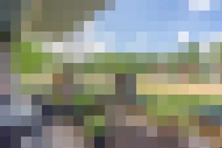 Stoepveldsingel 105 Assen thumbnail 32
