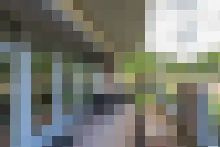 Stoepveldsingel 105 Assen thumbnail 4