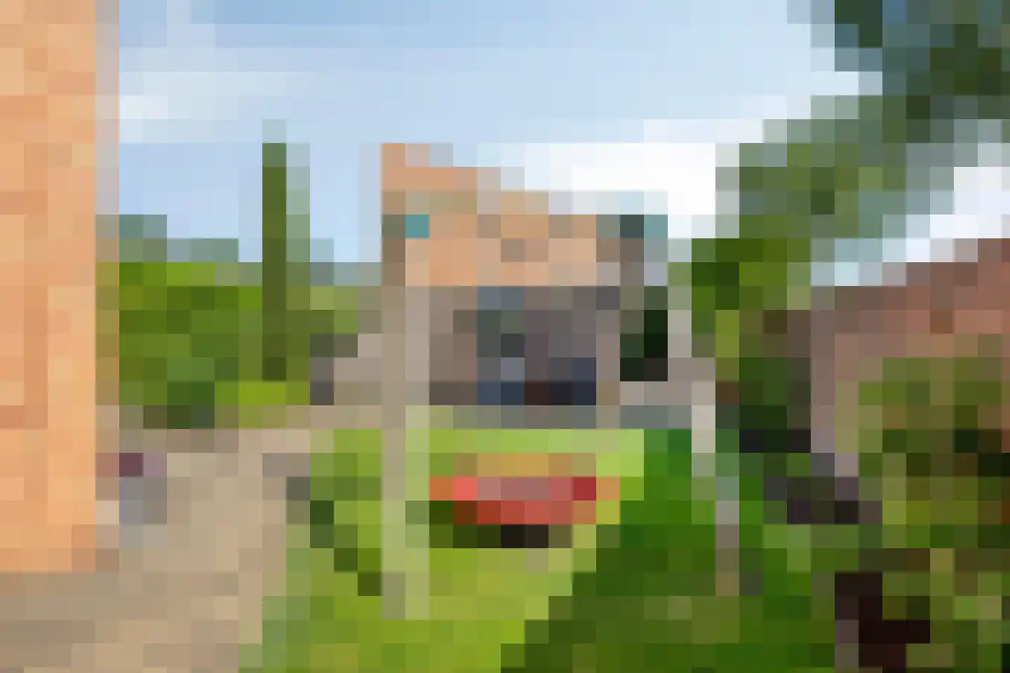 Stoepveldsingel 110 Assen thumbnail 39