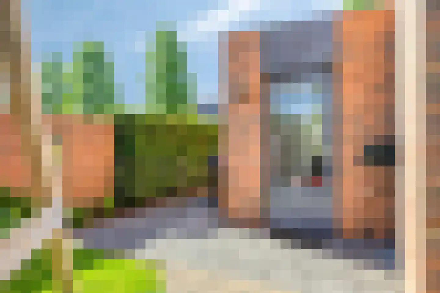 Stoepveldsingel 110 Assen thumbnail 45