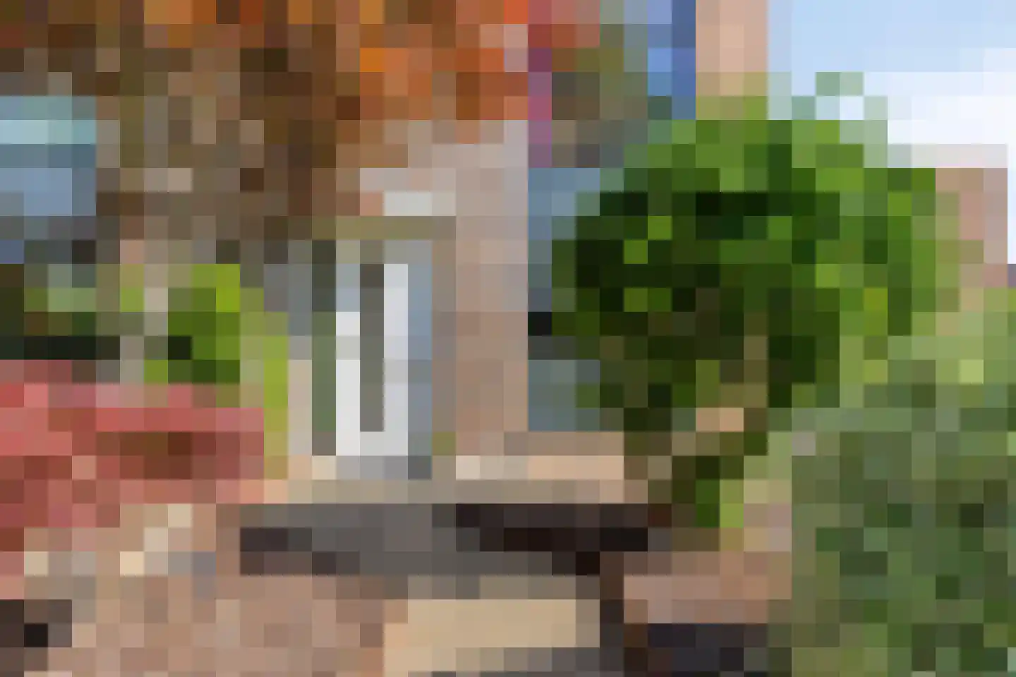 Stoepveldsingel 110 Assen thumbnail 6