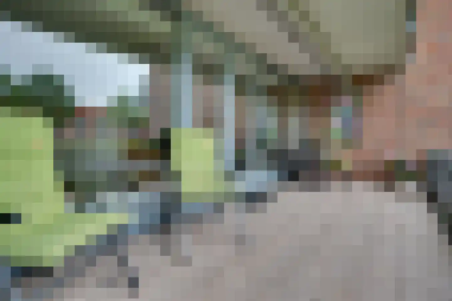 Stoepveldsingel 118 Assen thumbnail 19