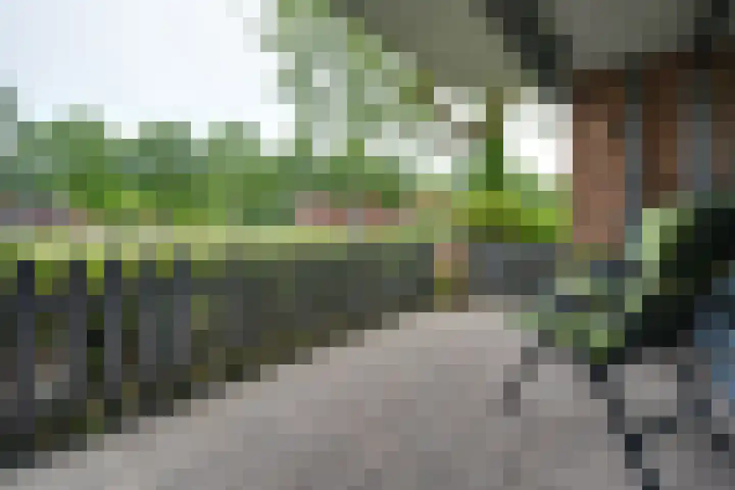 Stoepveldsingel 118 Assen thumbnail 20