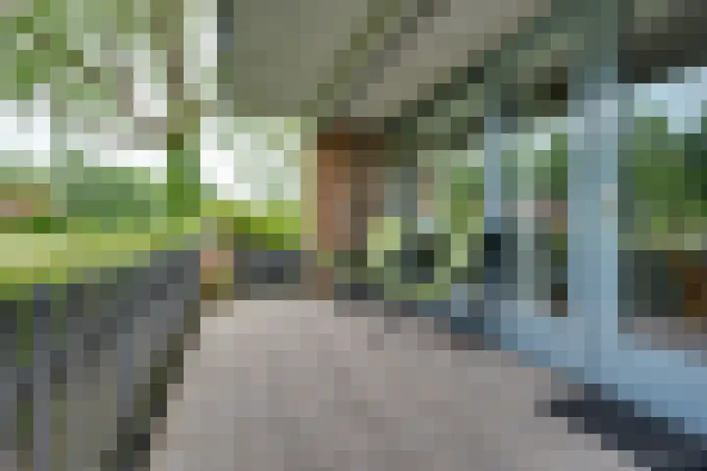 Stoepveldsingel 118 Assen thumbnail 21