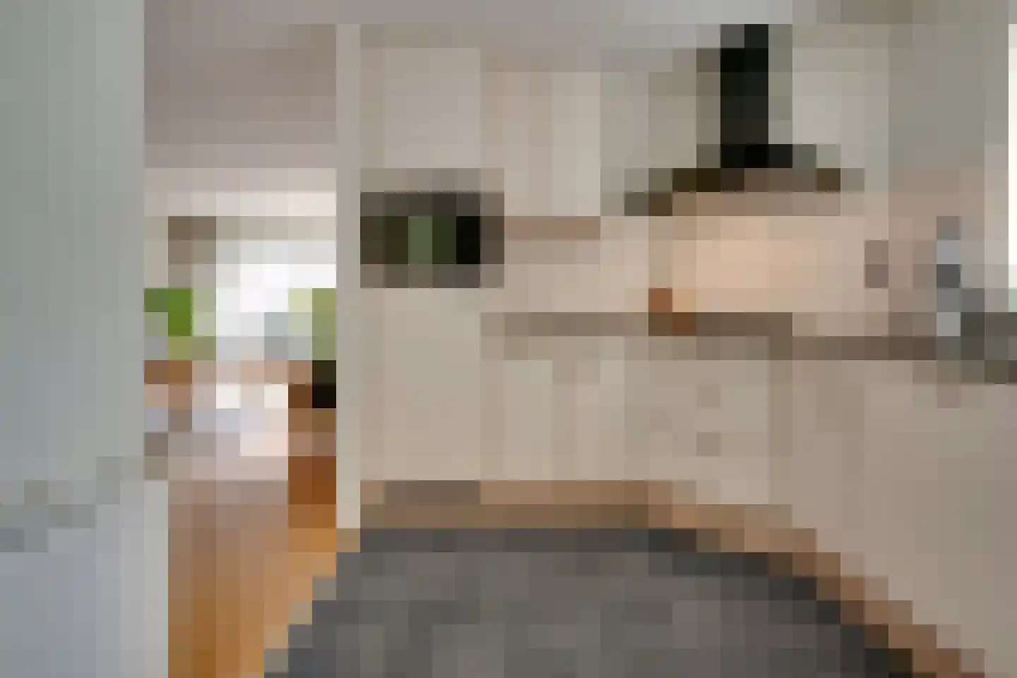 Stoepveldsingel 118 Assen thumbnail 9