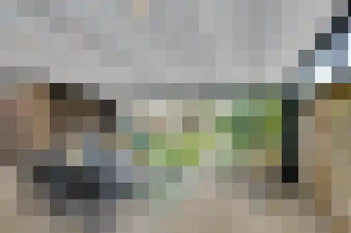 Stoepveldsingel 24 Assen thumbnail 30