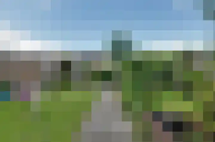 Stoepveldsingel 24 Assen thumbnail 31