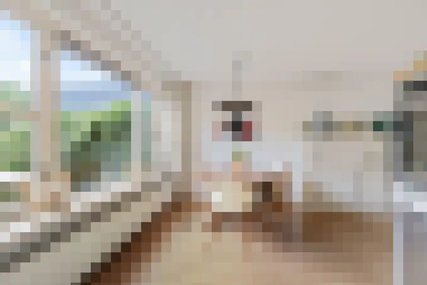 Stoepveldsingel 83 Assen thumbnail 21