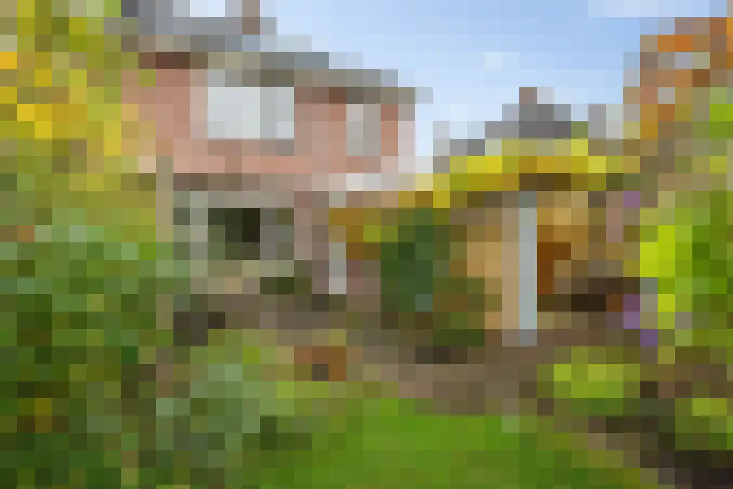 Stoepveldsingel 83 Assen thumbnail 42