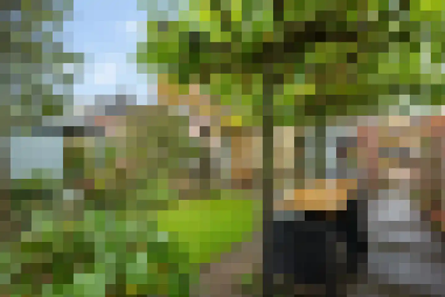 Stoepveldsingel 83 Assen thumbnail 44