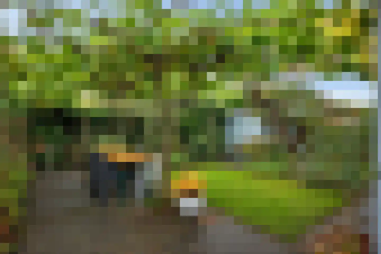 Stoepveldsingel 83 Assen thumbnail 45