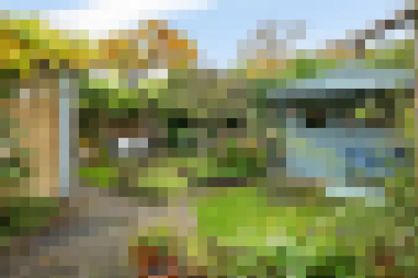 Stoepveldsingel 83 Assen thumbnail 48