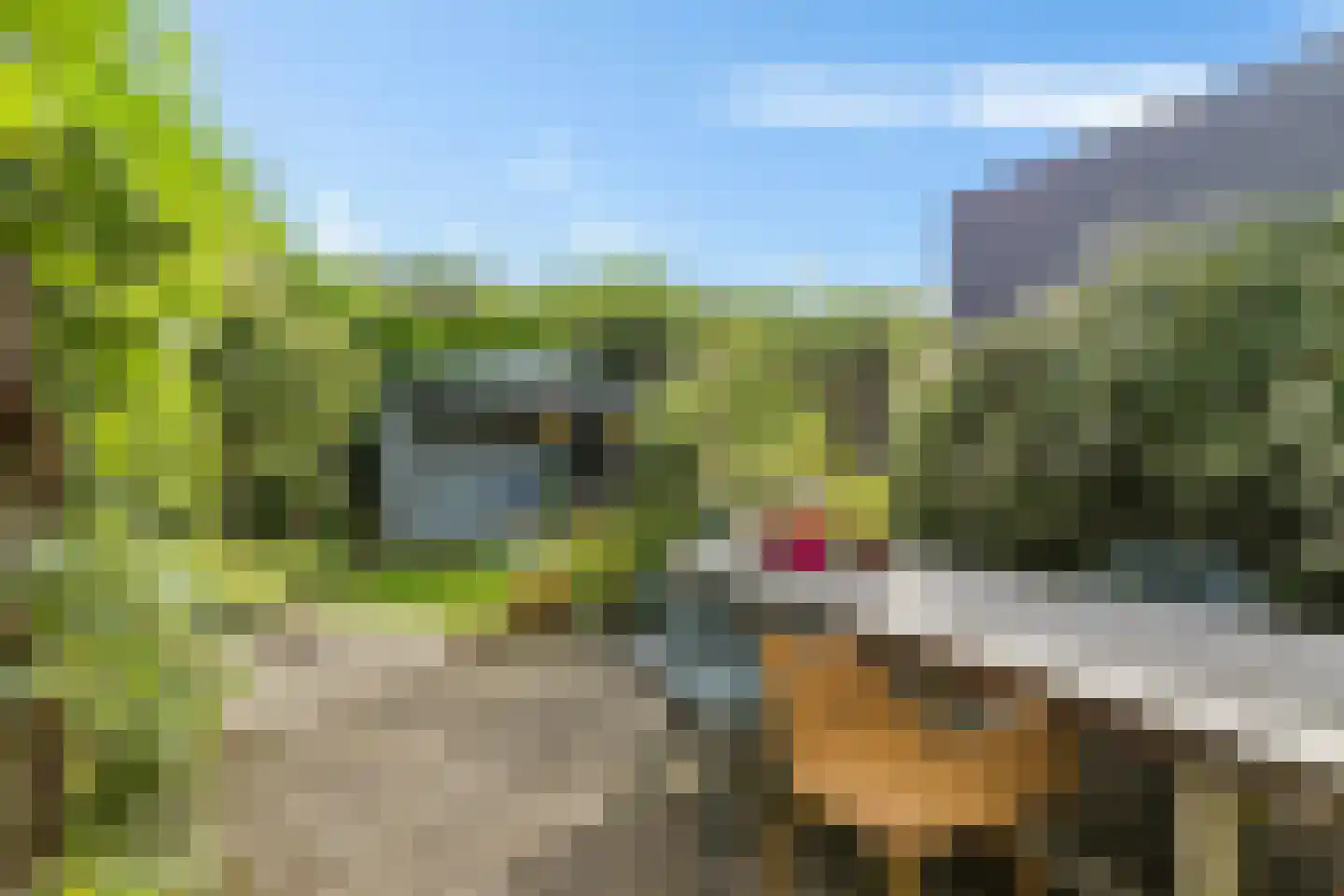 Stoepveldsingel 83 Assen thumbnail 49