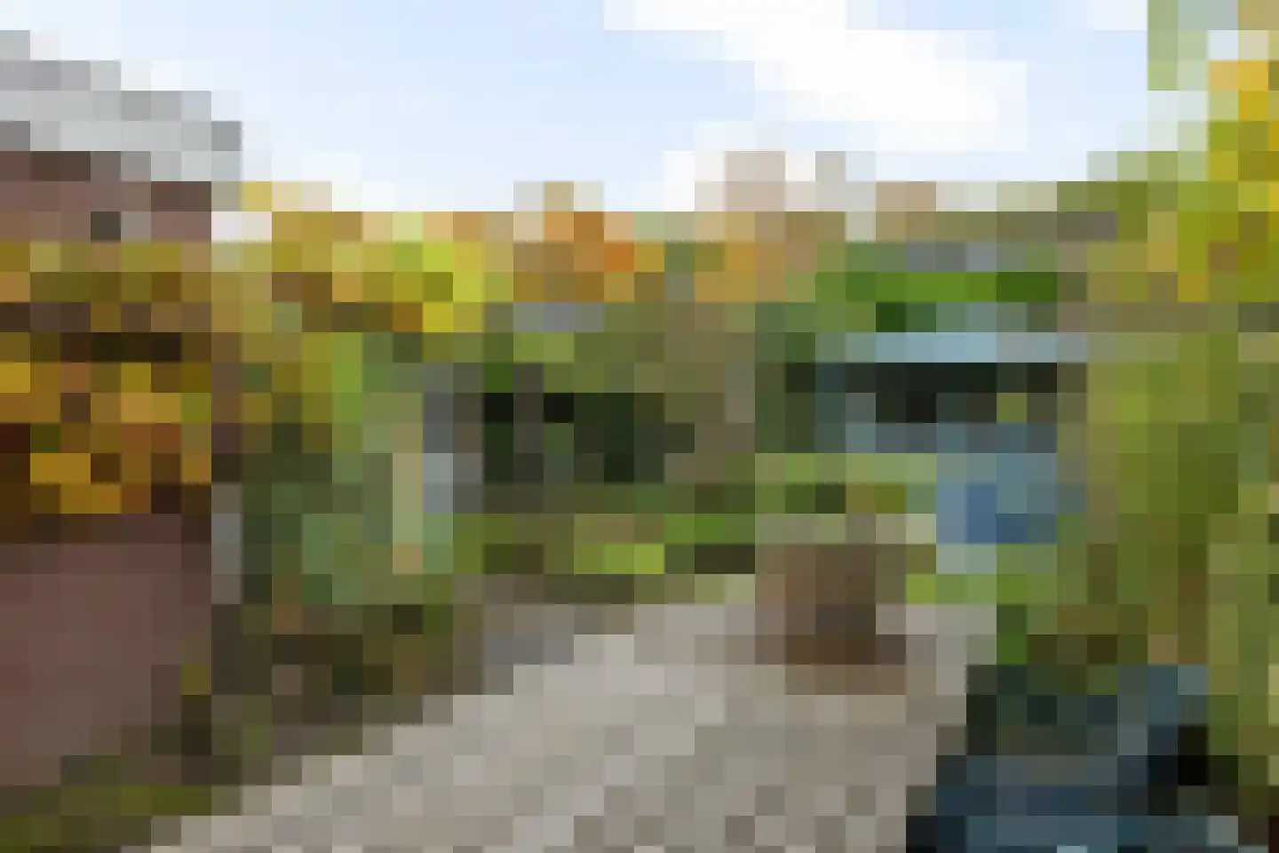 Stoepveldsingel 83 Assen thumbnail 51