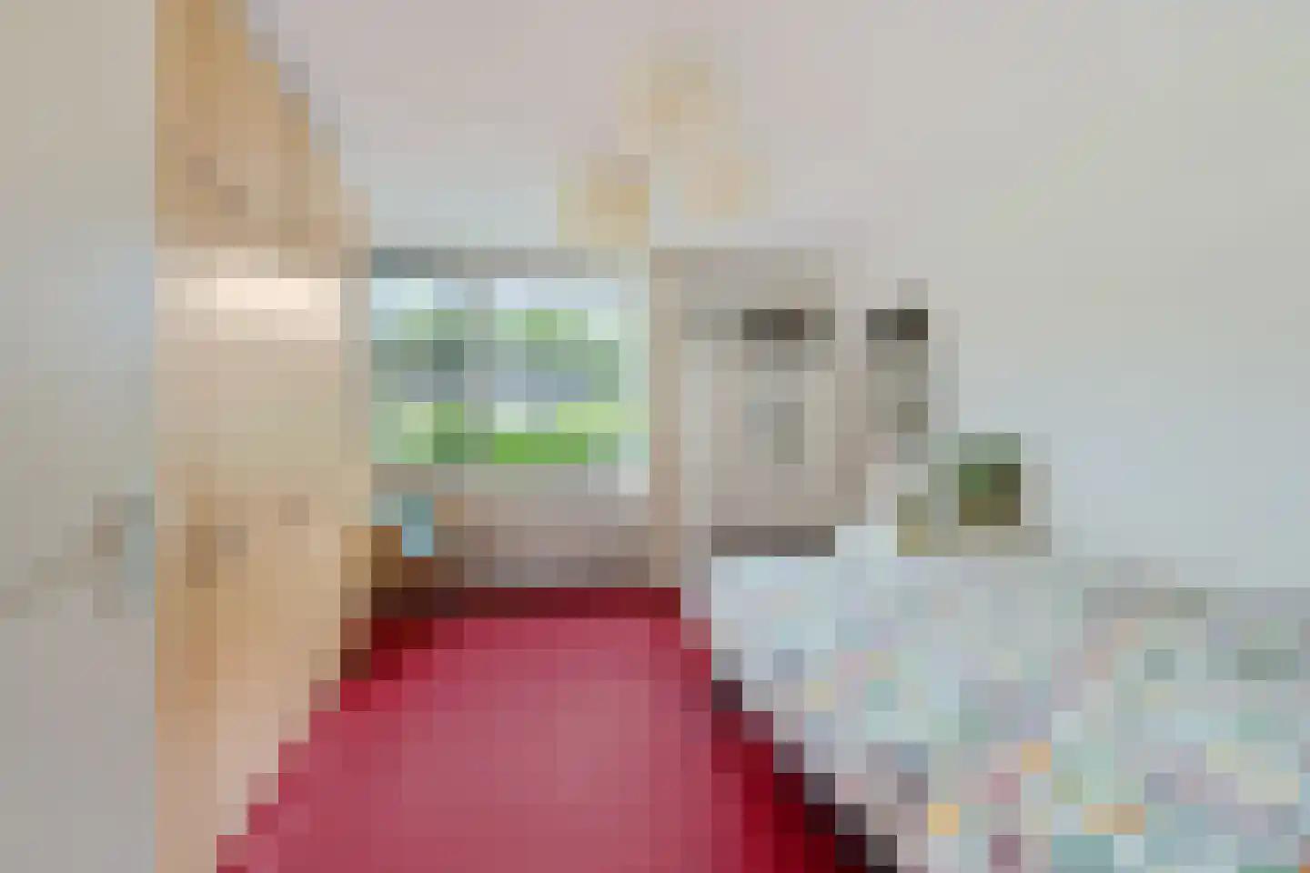 Stoepveldsingel 83 Assen thumbnail 7
