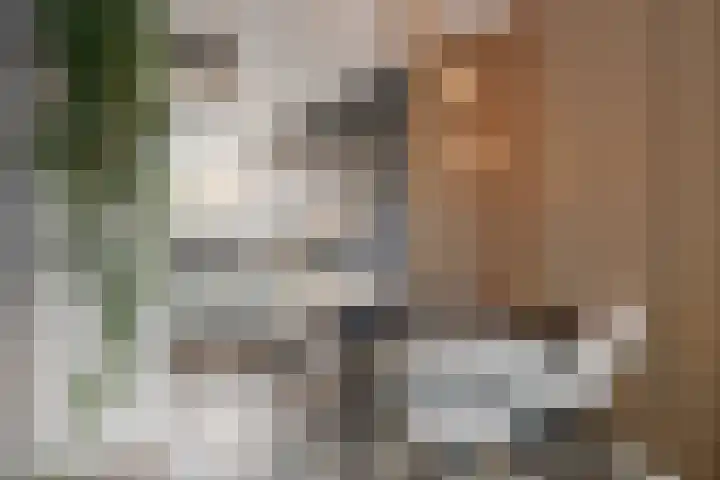 Stoepveldsingel 92 Assen thumbnail 11