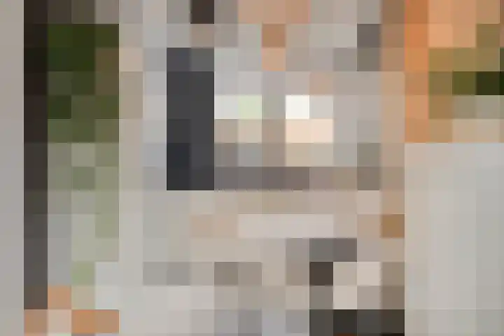 Stoepveldsingel 92 Assen thumbnail 12