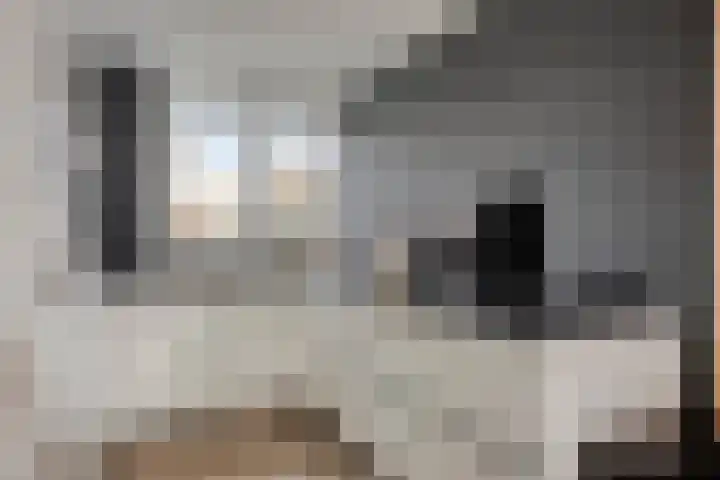 Stoepveldsingel 92 Assen thumbnail 14