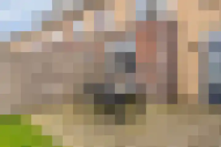 Stoepveldsingel 92 Assen thumbnail 32