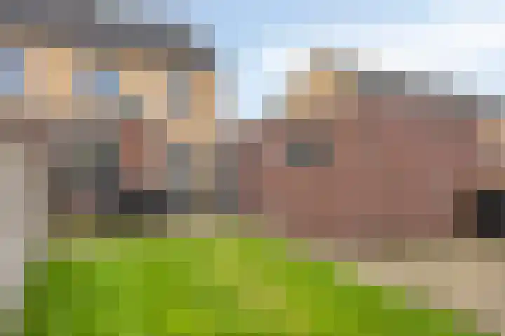 Stoepveldsingel 92 Assen thumbnail 33