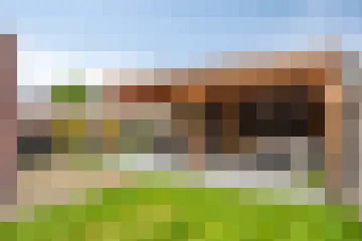 Stoepveldsingel 92 Assen thumbnail 34