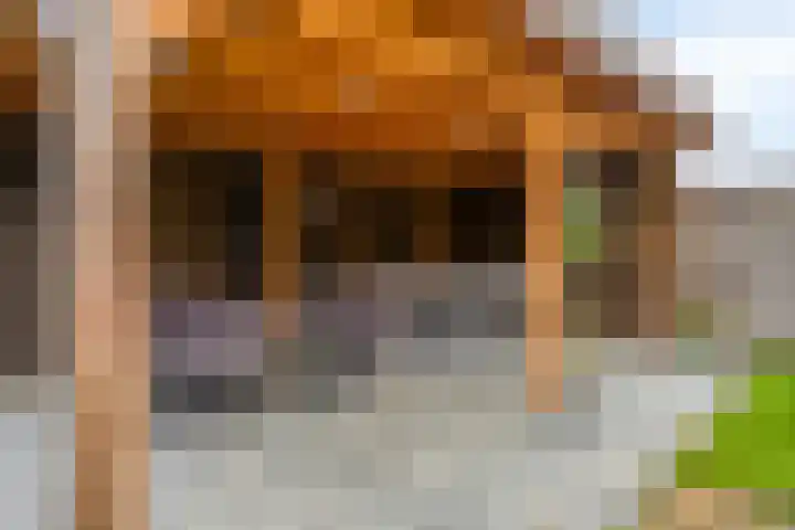 Stoepveldsingel 92 Assen thumbnail 35