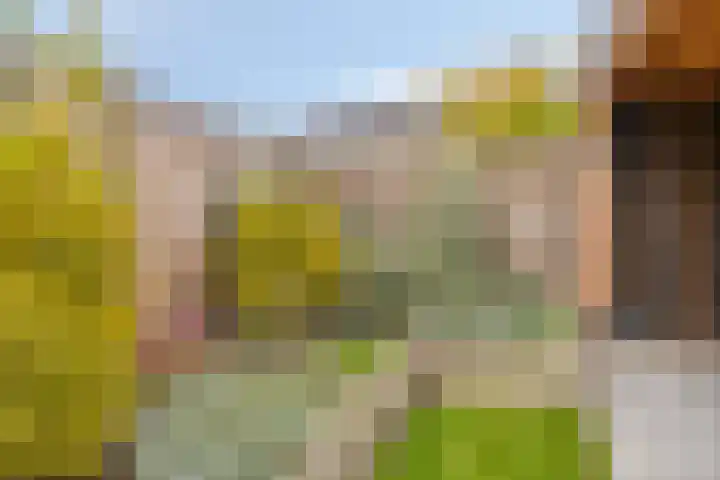 Stoepveldsingel 92 Assen thumbnail 36