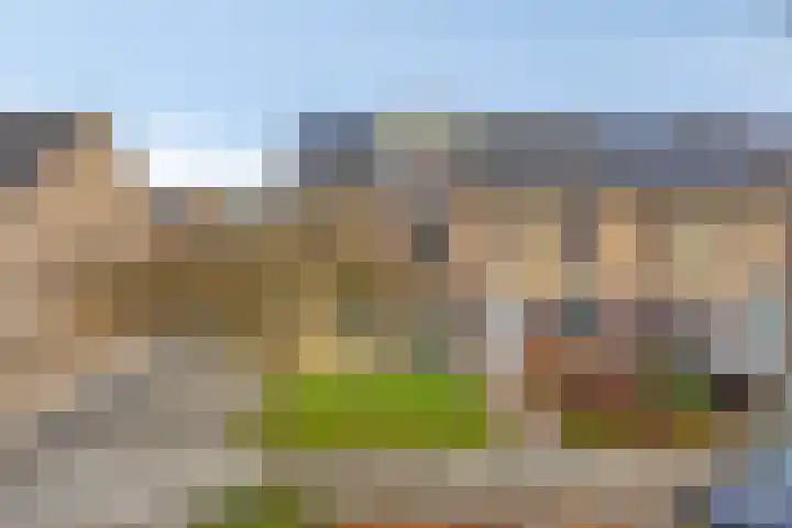 Stoepveldsingel 92 Assen thumbnail 37