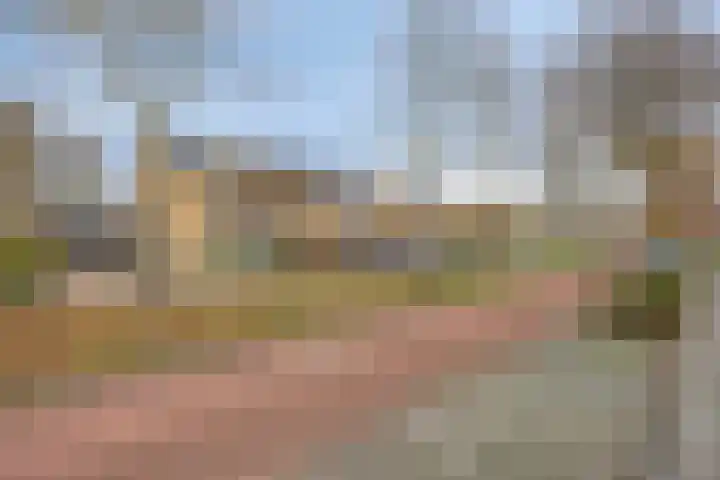 Stoepveldsingel 92 Assen thumbnail 40