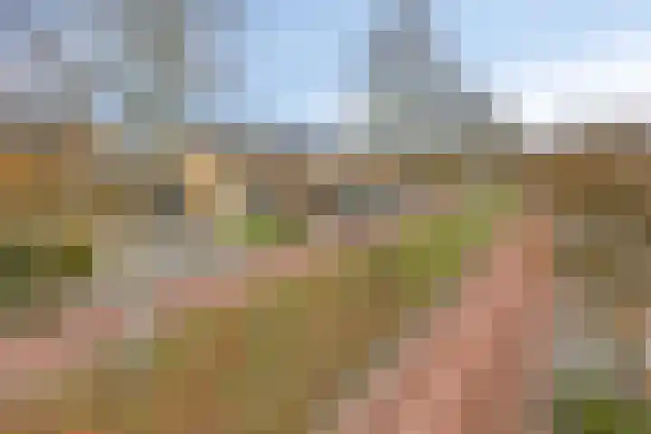 Stoepveldsingel 92 Assen thumbnail 41