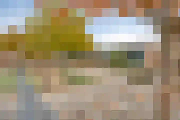Stoepveldsingel 92 Assen thumbnail 42