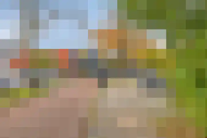 Stoepveldsingel 92 Assen thumbnail 43