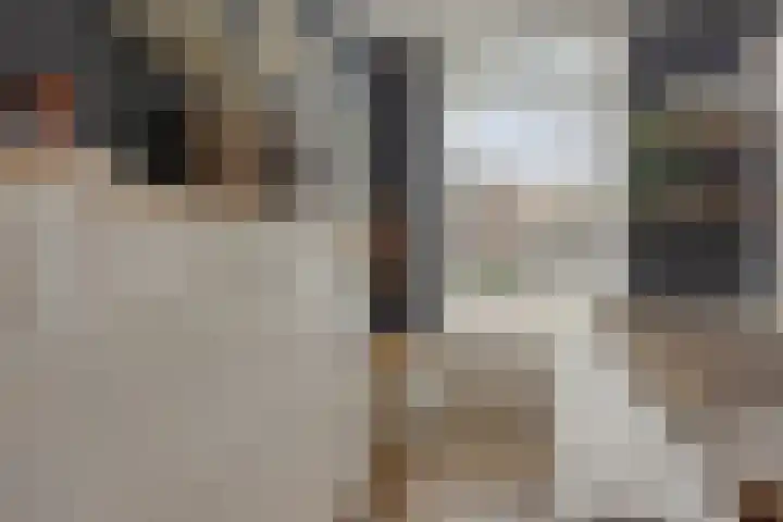 Stoepveldsingel 92 Assen thumbnail 7
