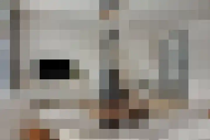 Stoepveldsingel 92 Assen thumbnail 8