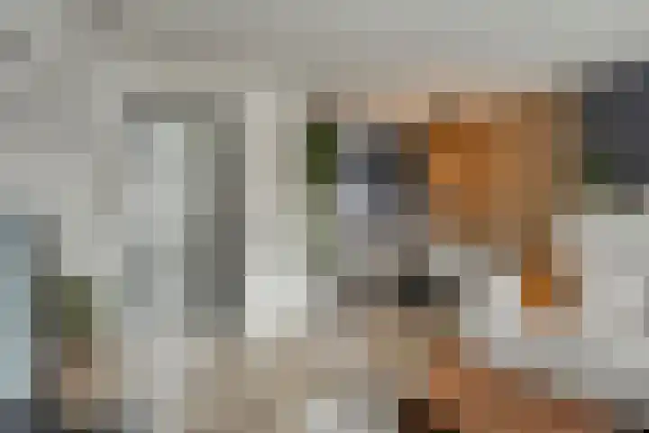 Stoepveldsingel 92 Assen thumbnail 9