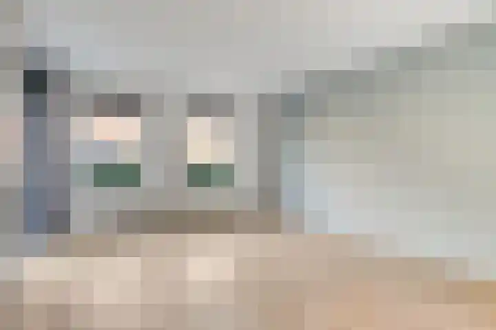 Stoeterij 15 Huissen thumbnail 13