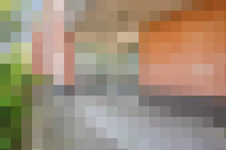 Stoeterij 15 Huissen thumbnail 24