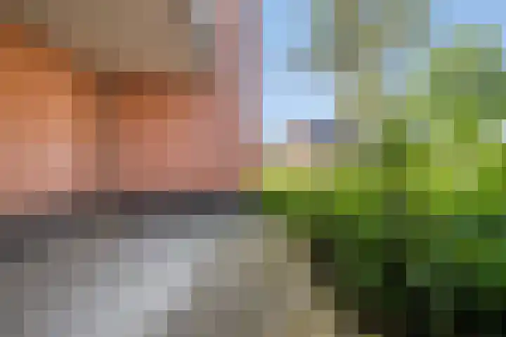 Stoeterij 15 Huissen thumbnail 25