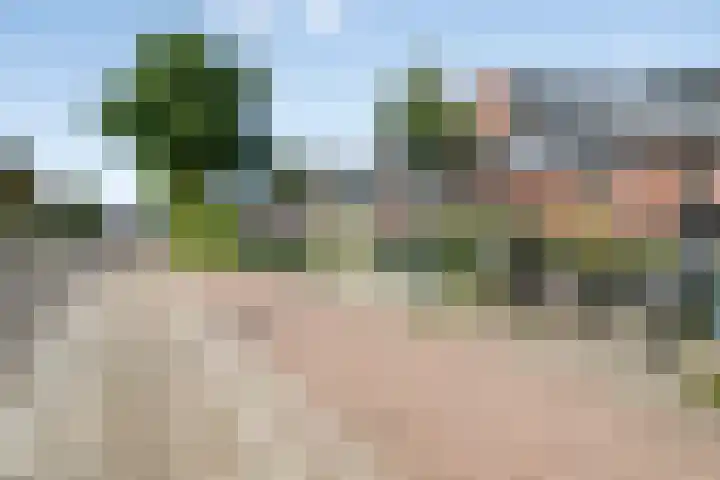 Stoeterij 15 Huissen thumbnail 26