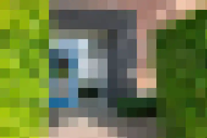 Stoeterij 15 Huissen thumbnail 4