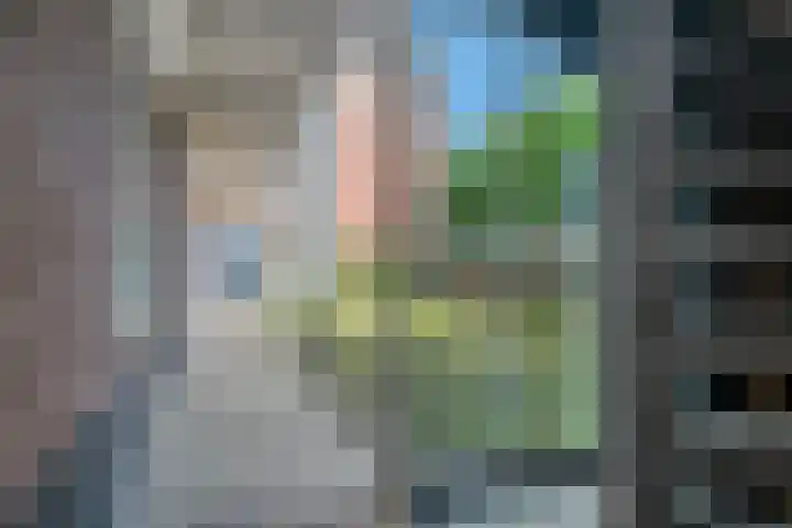 Stoeterij 15 Huissen thumbnail 6