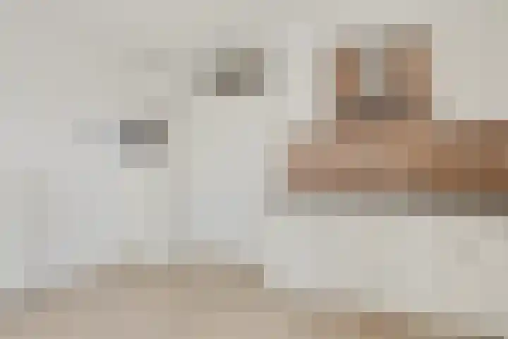 Stoeterij 22 Huissen thumbnail 11