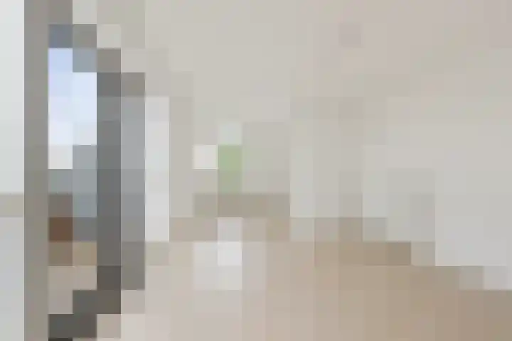 Stoeterij 22 Huissen thumbnail 5