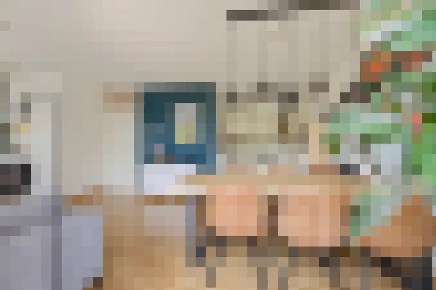 Stoeterij 24 Huissen thumbnail 12