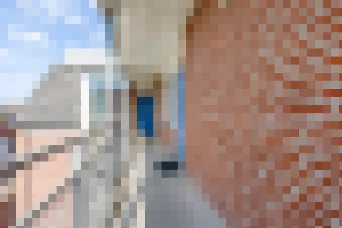 Stoeterij 24 Huissen thumbnail 23