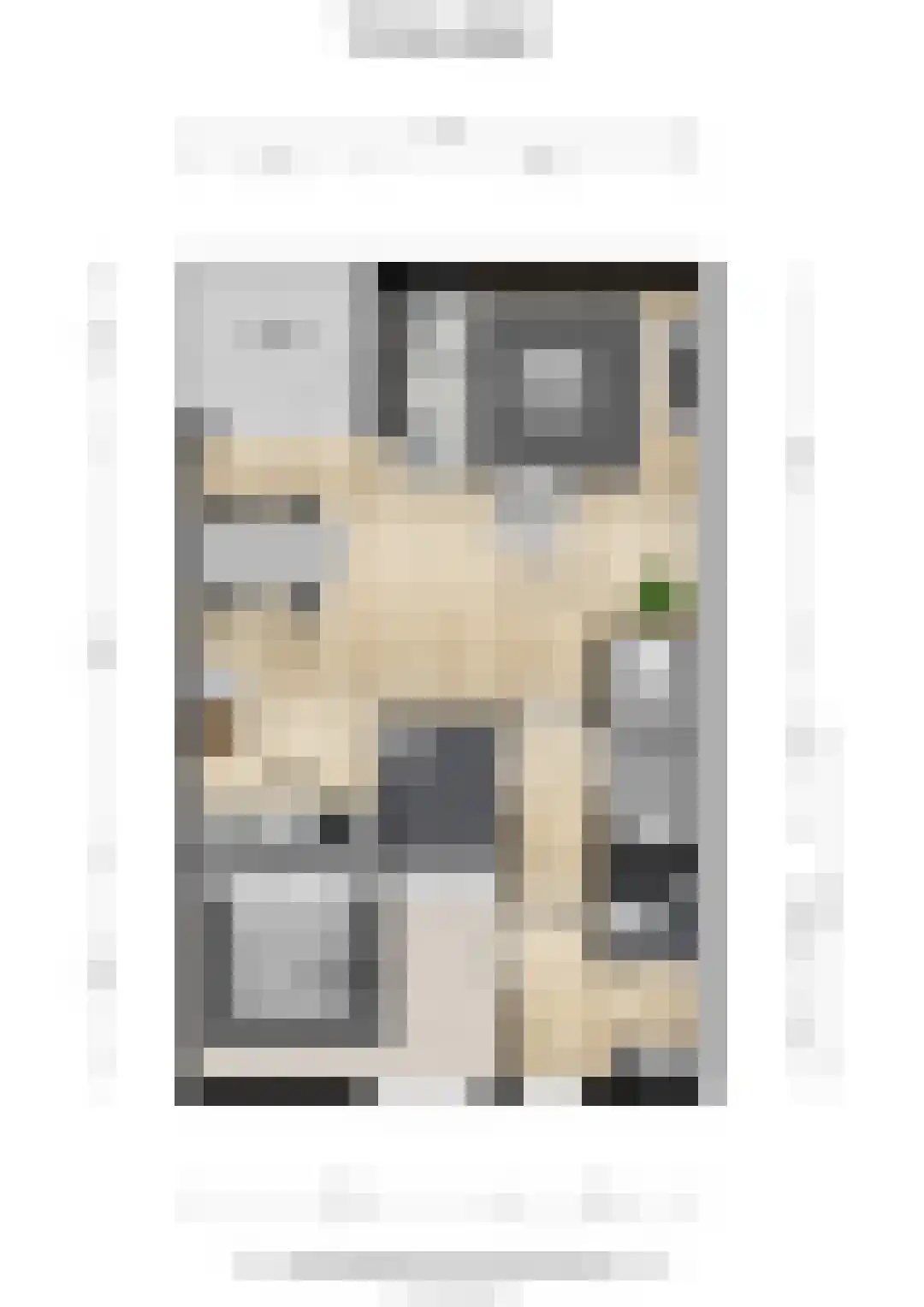 Stoeterij 24 Huissen thumbnail 27